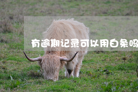有逾期记录可以用白条吗(白条逾期能用吗)