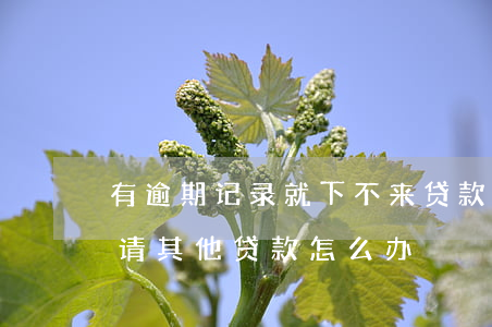 有逾期记录就下不来贷款(如果有逾期记录申请其他贷款怎么办)