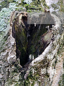 有逾期记录的能不能贷款(逾期记录多久才能不影响贷款)