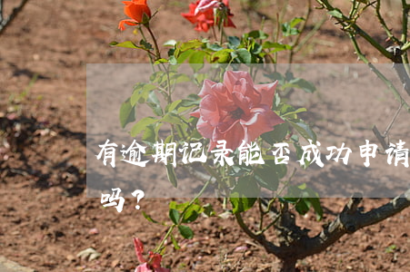 有逾期记录能否成功申请美团信用卡？安全吗？