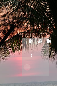 有逾期負(fù)債高還能貸款嗎(負(fù)債較高,沒有逾期,還可以貸款買房嗎)