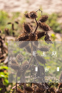 有逾期買(mǎi)房能貸款嗎(有逾期還能貸款買(mǎi)房嗎)
