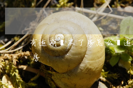 有逾期買不了房怎么辦(逾期多久貸款買不了房)