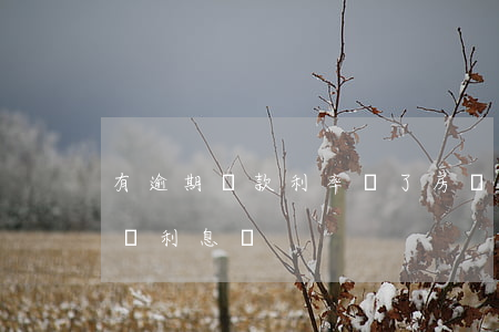 有逾期貸款利率漲了(房貸逾期會(huì)漲利息嗎)