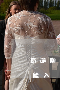 有逾期貸款能入黨嗎(網(wǎng)貸逾期能入黨嗎)