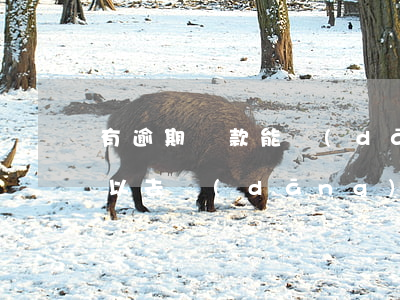 有逾期貸款能當(dāng)兵嗎(有欠款可以去當(dāng)兵嗎)