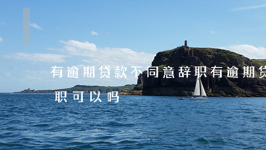 有逾期贷款不同意辞职(有逾期贷款不同意辞职可以吗)