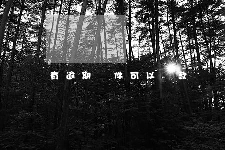 有逾期軟件可以貸款嗎