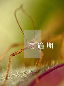 有逾期辦信用卡技巧(有逾期辦信用卡技巧)