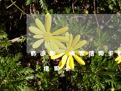 有逾期辦哪家信用卡好(逾期哪些銀行比較好辦信用卡)