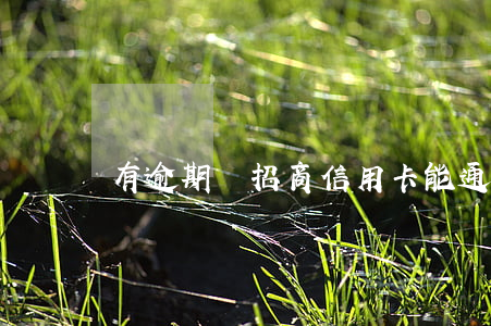 有逾期辦招商信用卡能通過(guò)嗎