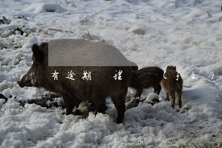 有逾期辦理廣發(fā)信用卡