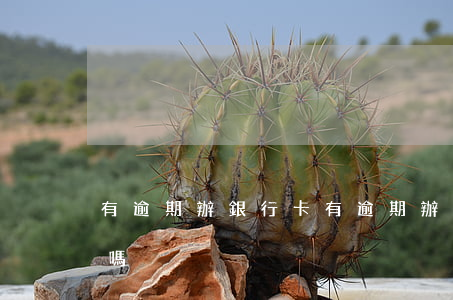 有逾期辦銀行卡 有逾期辦銀行卡會自動扣款嗎
