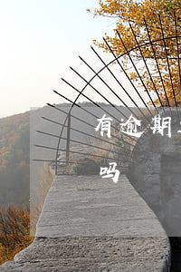 有逾期过网贷能贷车吗(网贷逾期买车能贷款吗?)