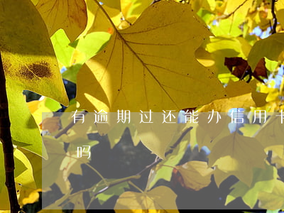 有逾期过还能办信用卡(逾期还可以办信用卡吗)