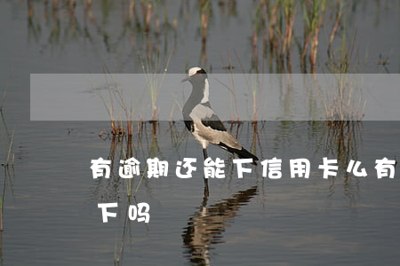 有逾期还能下信用卡么(有过逾期信用卡还能下吗)
