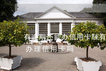 有逾期还能办信用卡駷(有信用卡逾期还可以办理信用卡吗)