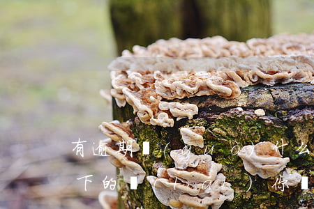 有逾期過(guò)什么網(wǎng)貸下的來(lái)(你們網(wǎng)貸逾期多久了)