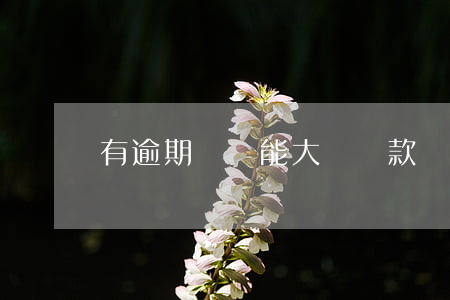 有逾期過還能大額貸款嗎