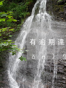 有逾期違約金會上征信嗎 逾期一天產(chǎn)生違約金會上征信嗎