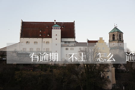 有逾期還不上錢怎么辦(逾期沒有錢還怎么辦)