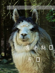有逾期還可以買房貸款嗎(有逾期還能貸款買房嗎)