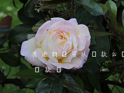 有逾期還可以貸款么(貸款逾期還完了還可以貸款嗎)