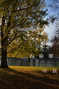 有逾期還可以辦信用卡嗎怎么辦理-有逾期還可以辦信用卡嗎怎么辦理的