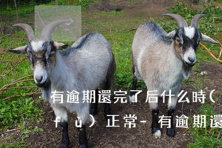 有逾期還完了后什么時(shí)候恢復(fù)正常-有逾期還完了后什么時(shí)候恢復(fù)正常征信