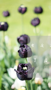 有逾期還完了能貸款嗎(貸款逾期沒有還,還完了后多久可以貸款)