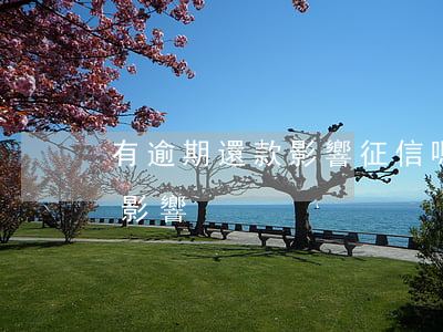 有逾期還款影響征信嗎(逾期還款上征信有啥影響)