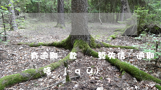 有逾期還款記錄算失信嗎(逾期記錄和失信記錄啥區(qū)別)