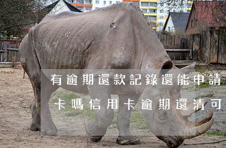 有逾期還款記錄還能申請(qǐng)信用卡嗎（信用卡逾期還清可以拿回房產(chǎn)證）