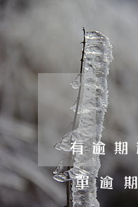 有逾期還款記錄還能申請信用卡嗎（信用卡賬單逾期了怎么還款）
