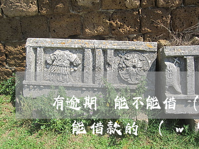 有逾期還能不能借網(wǎng)貸(有逾期還能借款的網(wǎng)貸)