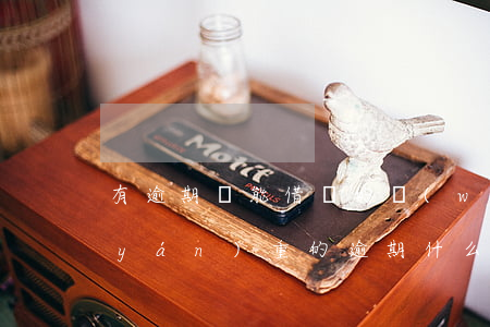 有逾期還能借錢的網(wǎng)貸(有嚴(yán)重的逾期什么平臺(tái)還可以借錢)