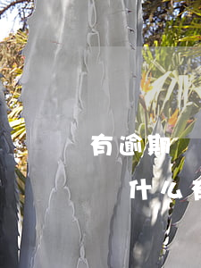 有逾期還能申請(qǐng)工商信用卡嗎 為什么有逾期還能辦信用卡