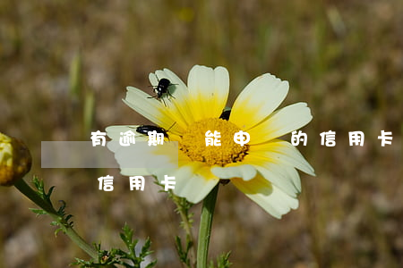 有逾期還能申請的信用卡-有逾期過能申請信用卡嗎