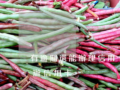 有逾期還能辦理信用卡嗎（為什么有逾期還能辦信用卡）