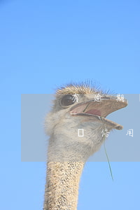 有逾期還能辦理信用卡嘛(如果有逾期還可以辦信用卡嗎)