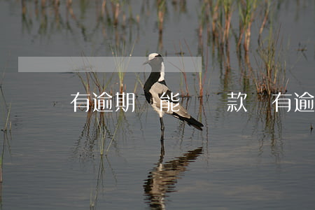 有逾期還能辦貸款嗎(有逾期還可以貸款嗎?)