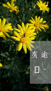 有逾期還能開(kāi)儲(chǔ)蓄卡嗎-逾期用戶(hù)可以辦儲(chǔ)蓄卡