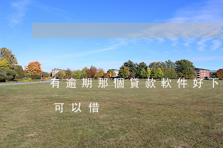 有逾期那個貸款軟件好下(什么軟件逾期了還可以借)