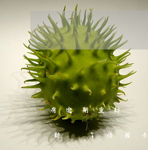 有逾期重新辦了信用卡能刷回來-有逾期重新辦了信用卡能刷回來嗎