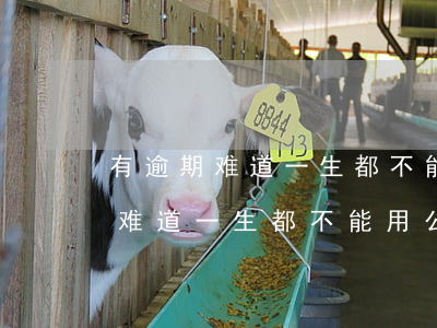 有逾期难道一生都不能用公积金吗-有逾期难道一生都不能用公积金吗为什么