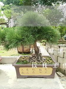 有逾期黑名單哪里還可以貸款（逾期黑名單可以找工作嗎）