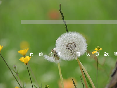 有逾期黑戶可以貸款嗎(逾期了就是黑戶嗎)