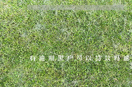 有逾期黑户可以贷款吗(逾期了就是黑户吗)