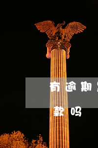 有逾期黑网贷还能贷款吗(网贷拉黑了还能贷款吗?)