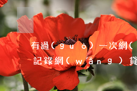 有過(guò)一次網(wǎng)貸逾期記錄(網(wǎng)貸逾期五年后還有記錄嗎)